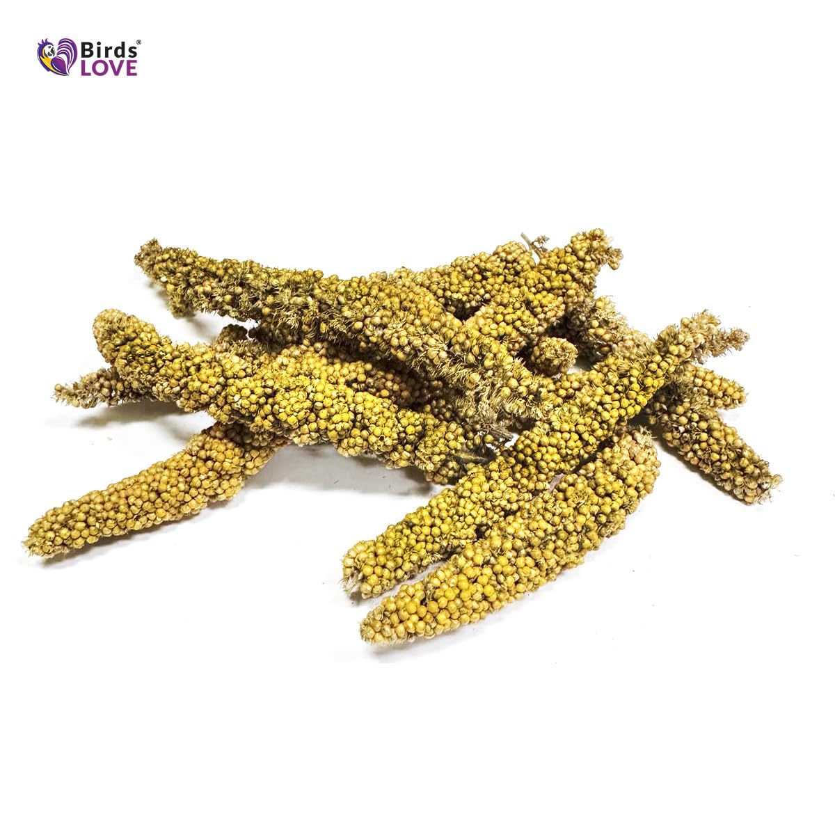 Birds LOVE Millet Tips & Tails for Birds - Parakeets, Cockatiels, Lovebirds, Finches, Budgies, Canaries, Cockatoos - Natural & H